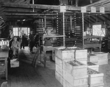 3. Early Factory Photo